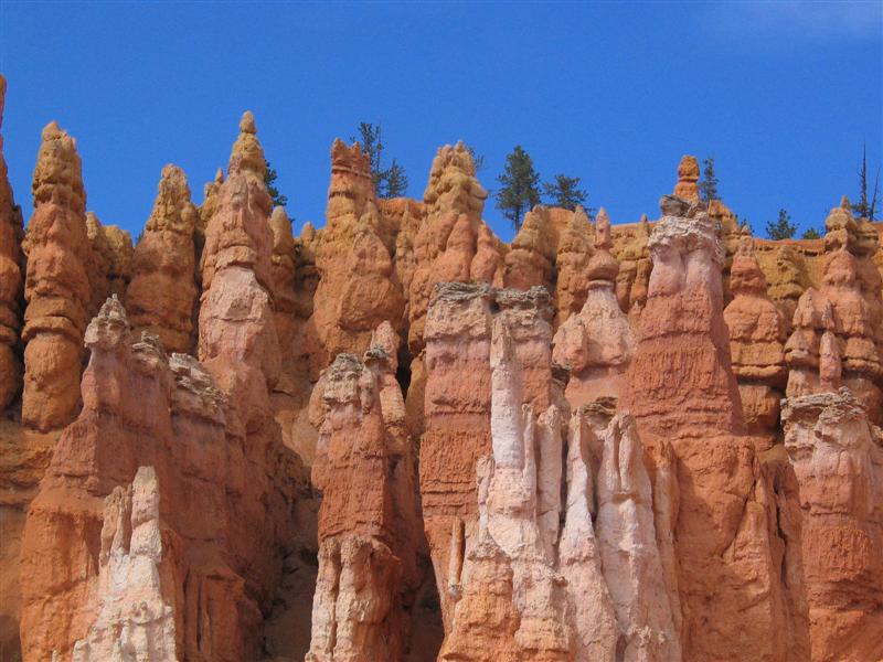 טיול לחו"ל אושרה קמחי - ברייס קניון ברייס קניון Bryce Canyon