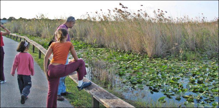 Everglades NP Florida | הפארק הלאומי אברגליידס