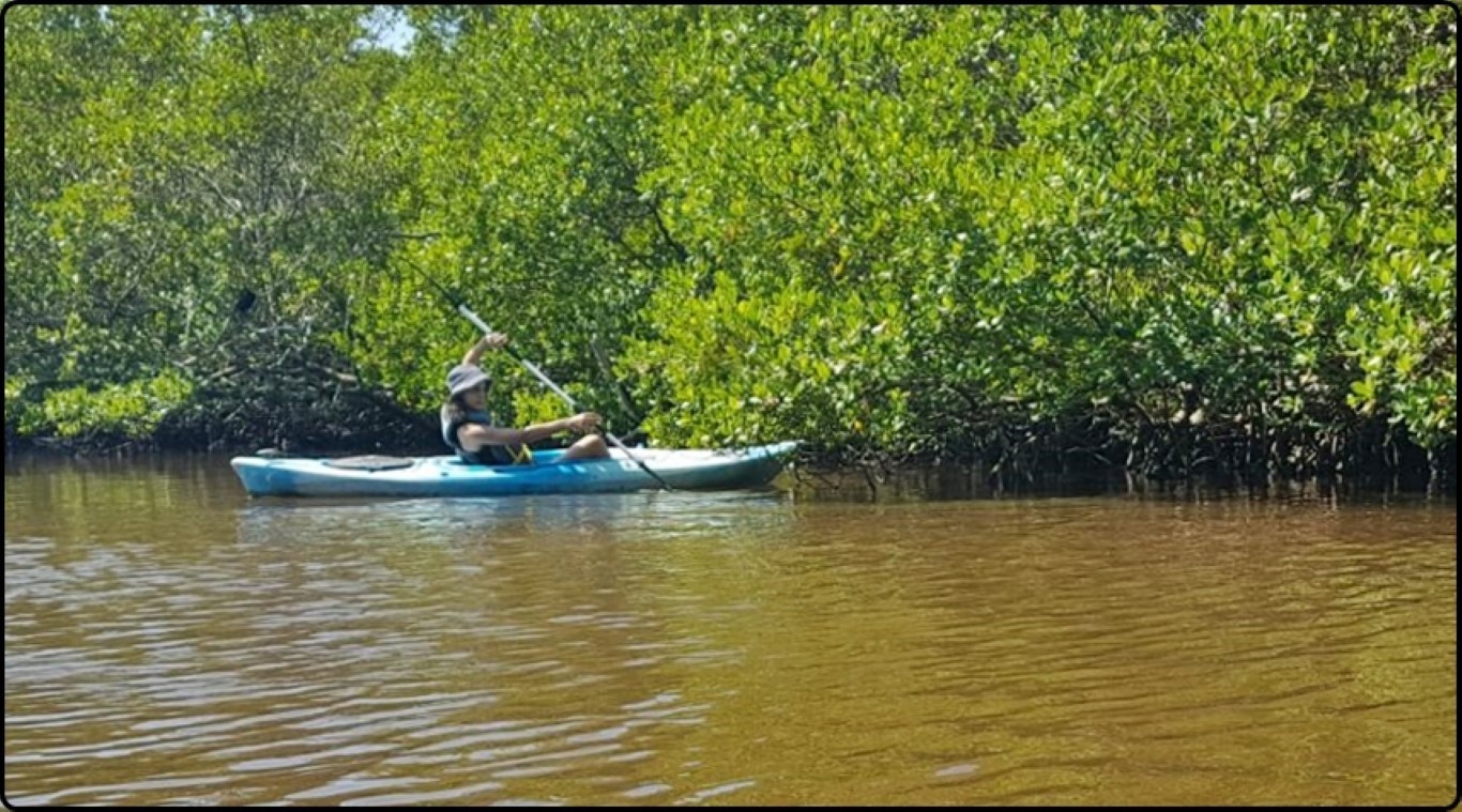  פלורידה שיט קייאקים באי סניבל | Florida Kayak sailing on Sanibel Island