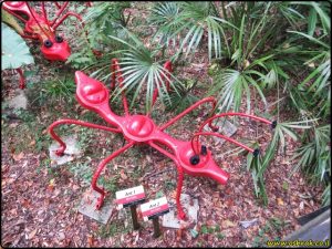 Tallahassee Museum -Jim Garry's Dinosaurs | מוזיאון טלהאסי - הדינוזאורים של ג'ים גארי