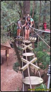 Tallahassee Museum - Tree to Tree Adventures | מוזיאון טלהאסי - פארק חבלים