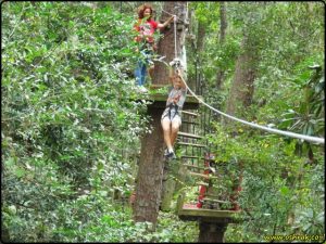 Tallahassee Museum - Tree to Tree Adventures | מוזיאון טלהאסי - פארק חבלים