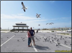 חוף נברה פלורידה | Navarre Beach FL