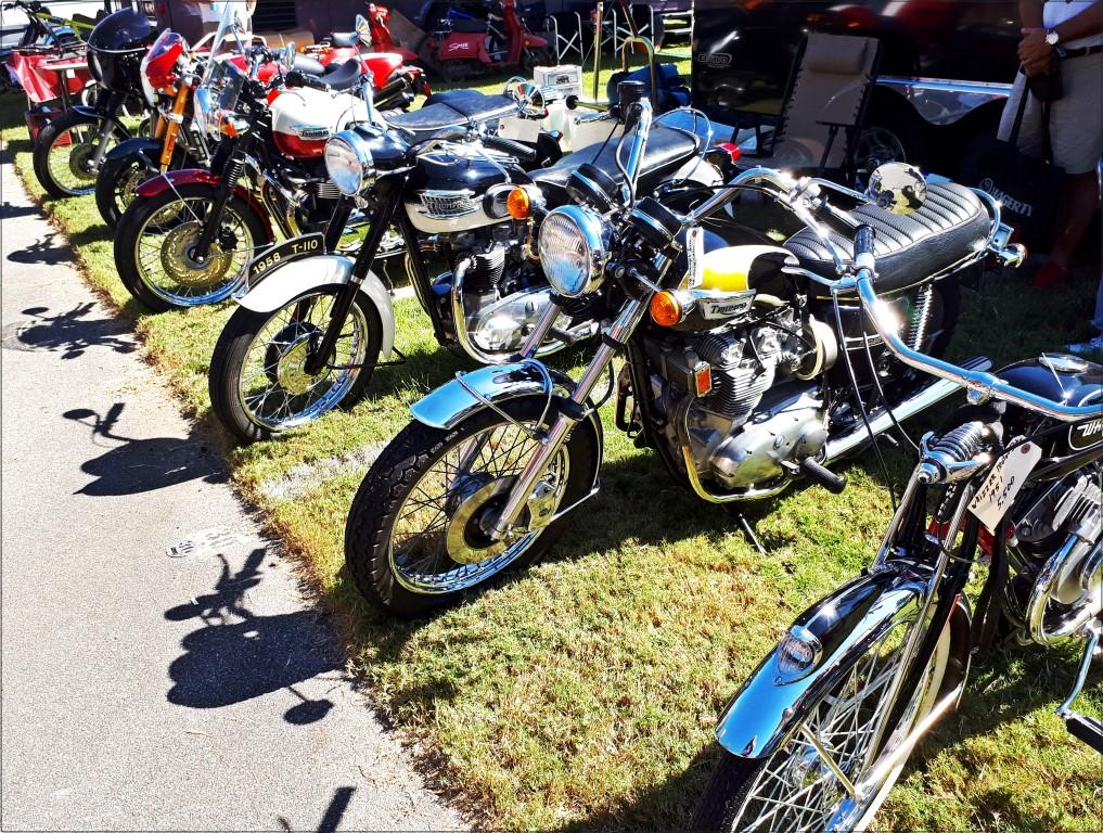 אופנועים, אופנועים בכל מקום - פסטיבל האופנועים באלבמה
