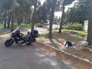 אושרה קמחי - על המזוודות. טיול על אופנוע - מחשבים מסלול מחדש ביער ביריה