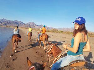 אושרה קמחי - על המזוודות. ארהב ומקסיקו - לורטו Loreto bcs