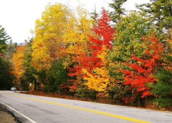 Highway 112 in the White Mountains East Coast Trip with Kids
