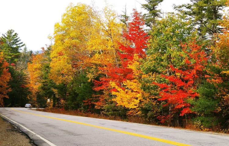 Highway 112 in the White Mountains East Coast Trip with Kids