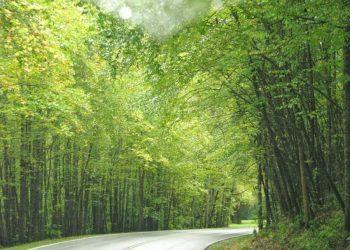 Great Smoky Mountains National Park