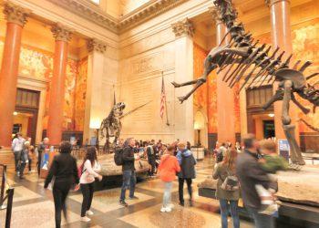 ניו יורק עם ילדים - מוזיאון ההיסטוריה של הטבע.